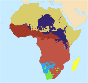 Profil des prestataires de traduction en Afrique