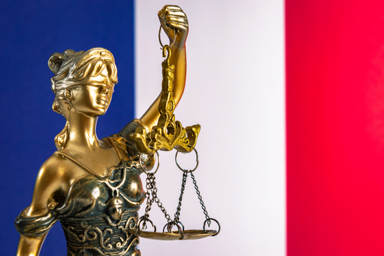 La SFT se mobilise pour les experts judiciaires